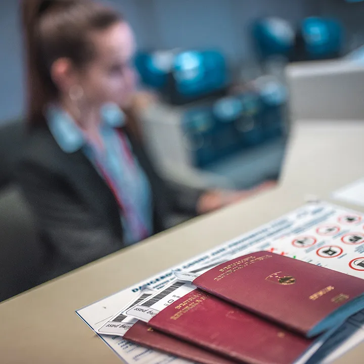 Security Monitoring Interface